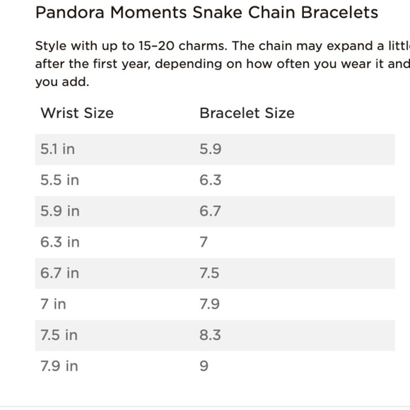 Pandora Silver Snake Chain Bracelet with 2 Spacer Charms - Picture 9 of 13